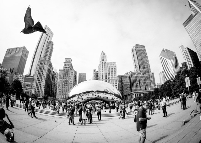 chicago-15
