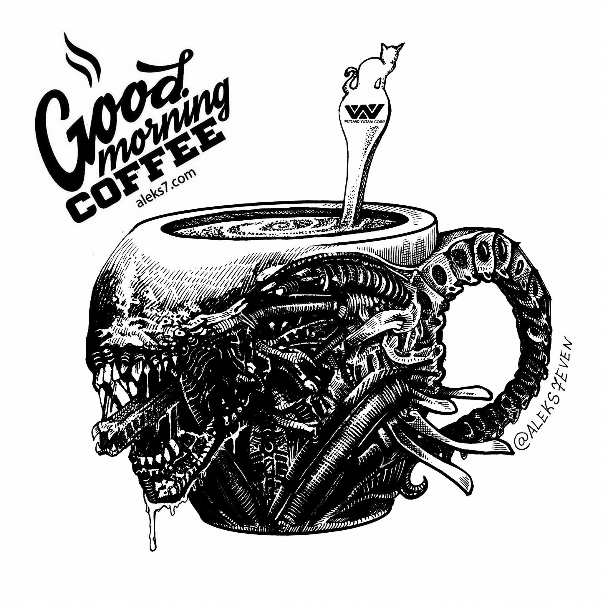 17761149_1675348162480638_8121596975039963040_o