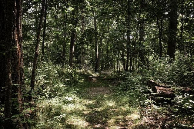 Camp Big Island, Sylvan Lake-13