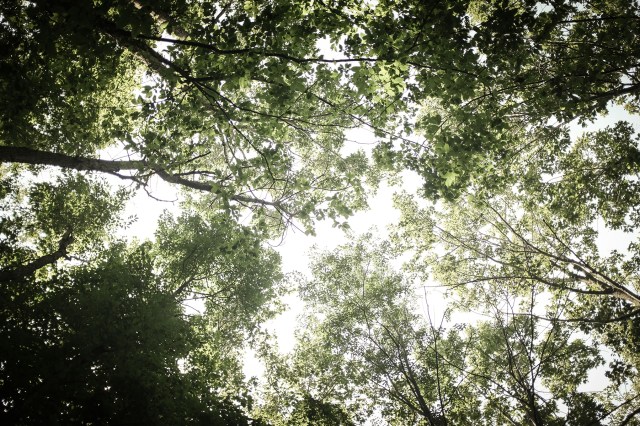 Camp Big Island, Sylvan Lake-14