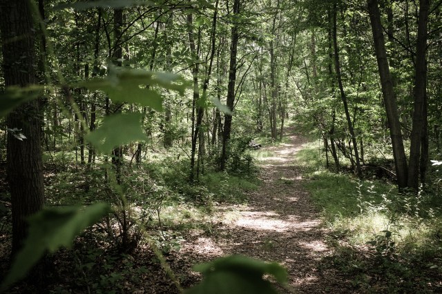 Camp Big Island, Sylvan Lake-18
