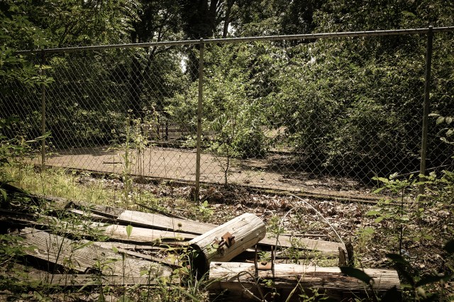 Camp Big Island, Sylvan Lake-20