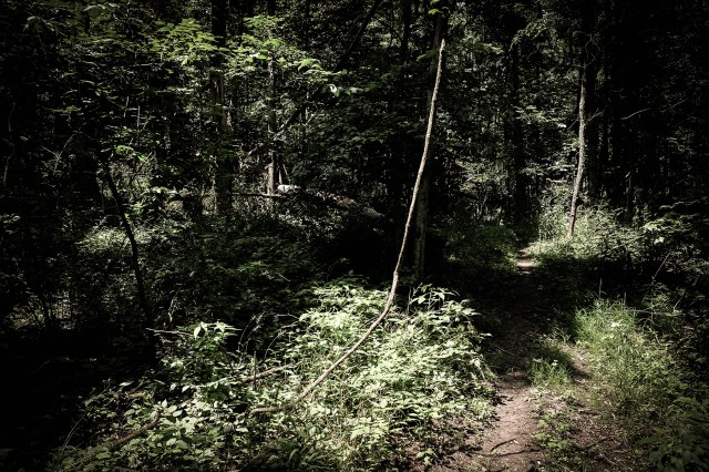 Camp Big Island, Sylvan Lake-32