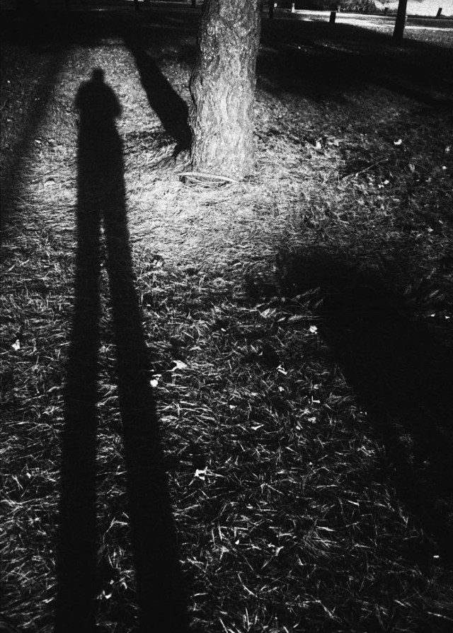 49205031_2516034415077525_7156723401397108736_o