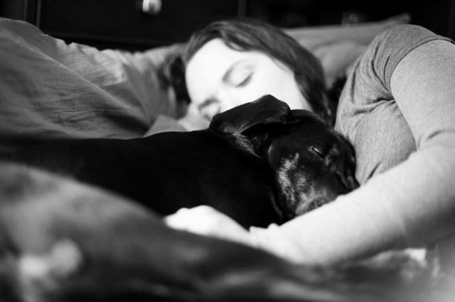 8503553227_86aee0045a_k