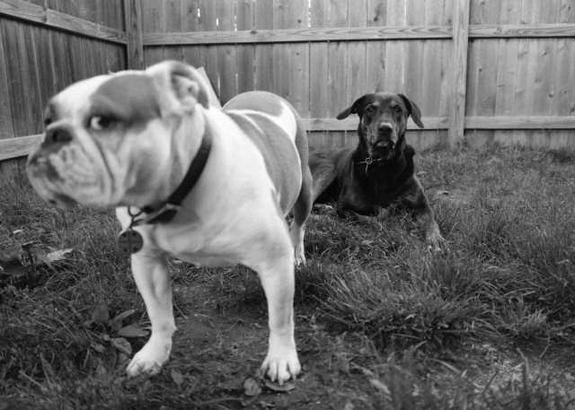 2E3AA48C-4332-4C04-A013-791A169458A0-6777-0000048BA744DCBF 2