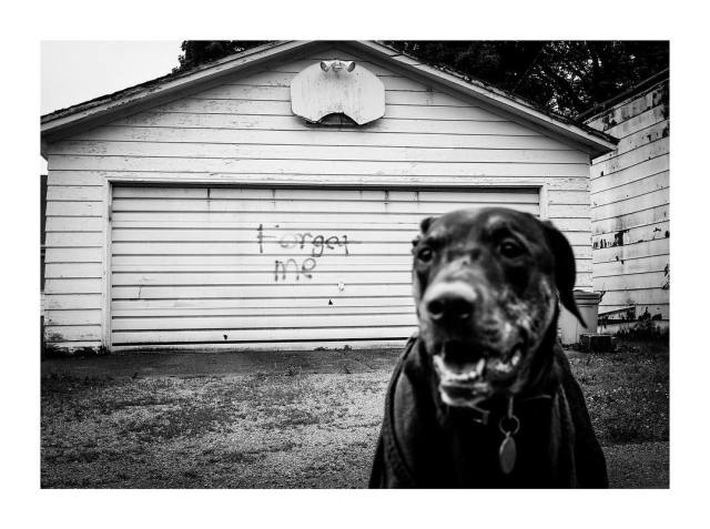 36046193_2205448542802782_1652847859545931776_o