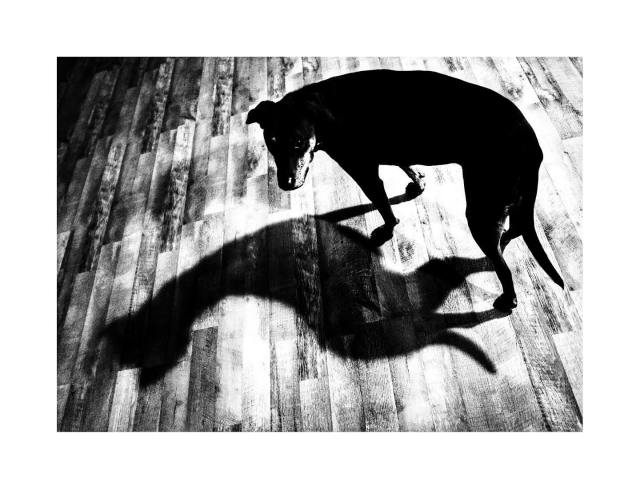 60165286_2739771056037192_5493027017102196736_o