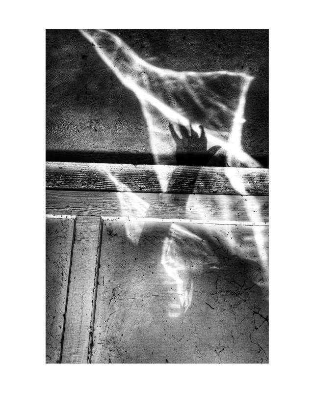 61374744_2766784590002505_8801310630083559424_o