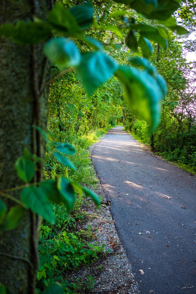 Angling Road Fishing Line Trail-12