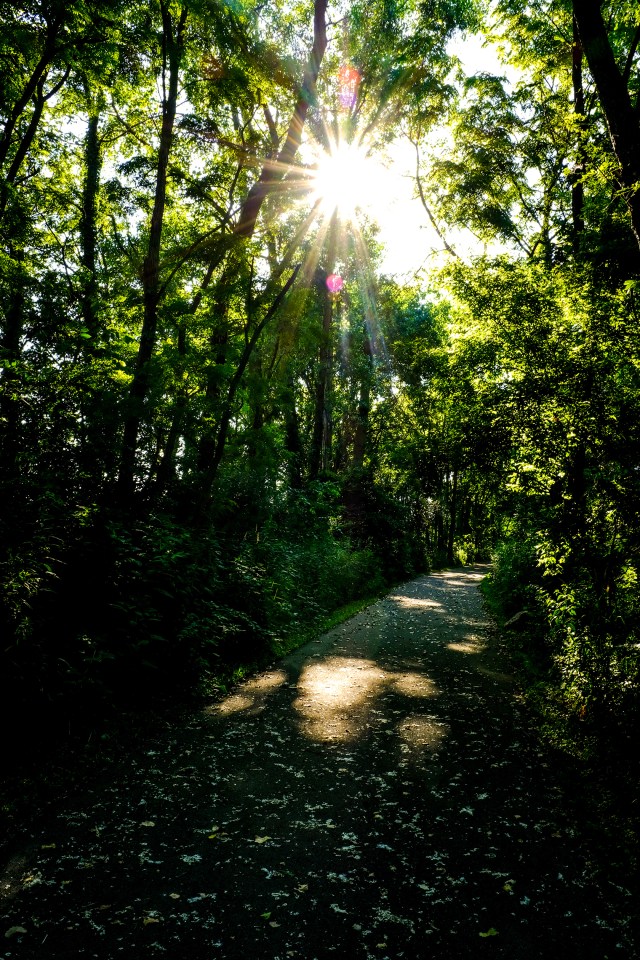 Bike Ride Fishing Line Trail-17