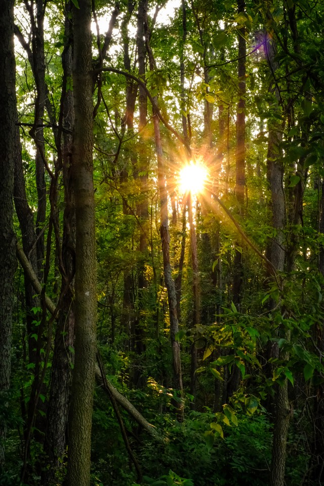 East 600 North Fishing Line Trail-21