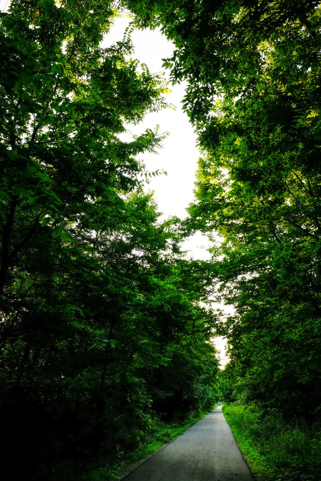 East 600 North Fishing Line Trail-33