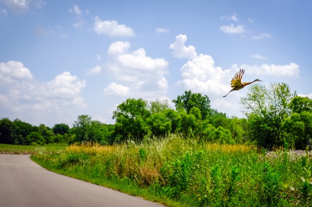 East 600 North Fishing Line Trail-9