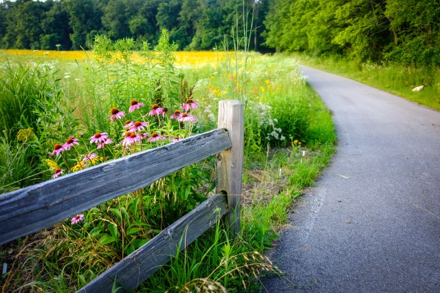 Limberlost &amp; Rome City Fishing Line Trail-29