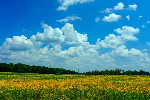Limberlost &amp; Rome City Fishing Line Trail-3