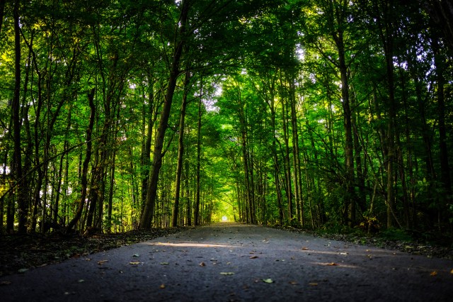 Limberlost &amp; Rome City Fishing Line Trail-32