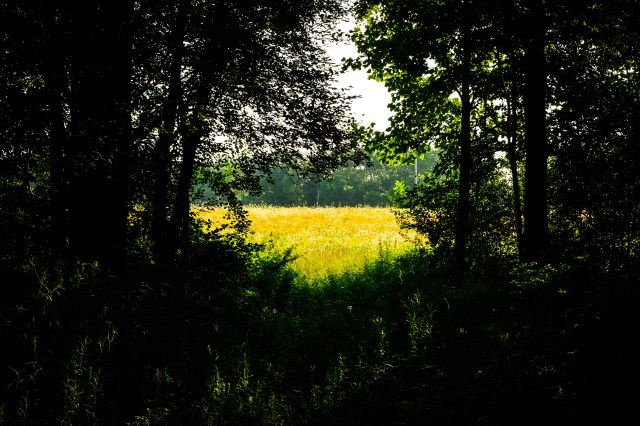 Limberlost &amp; Rome City Fishing Line Trail-44