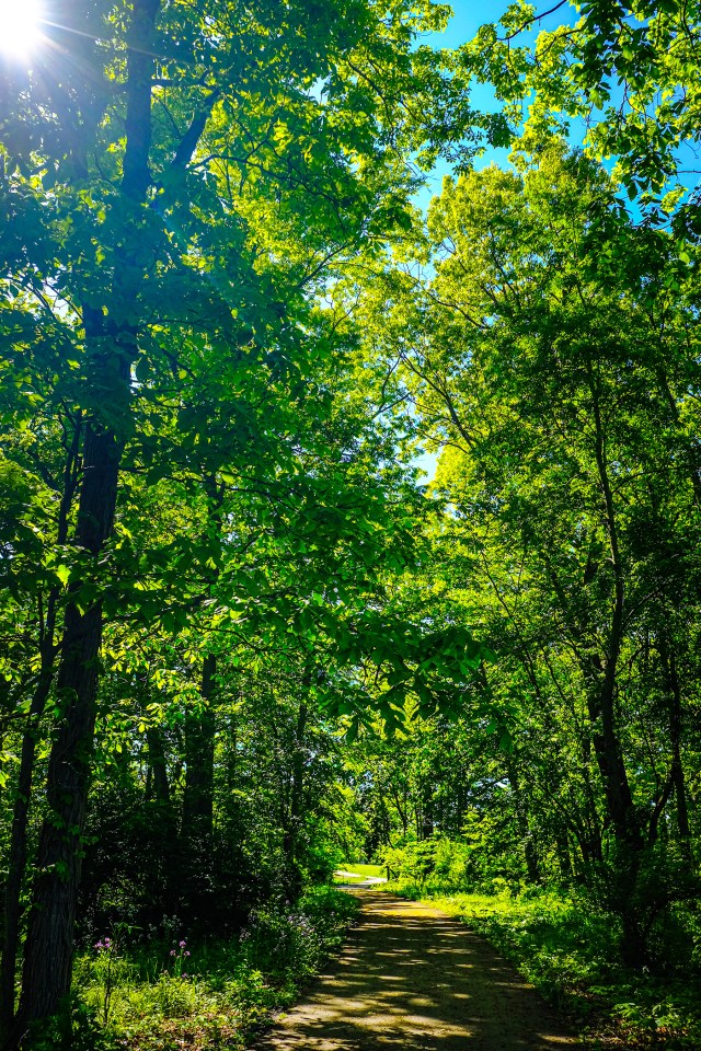 Fishing Line Trail--18