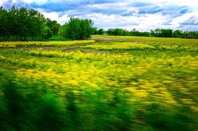 Fishing Line Trail--7