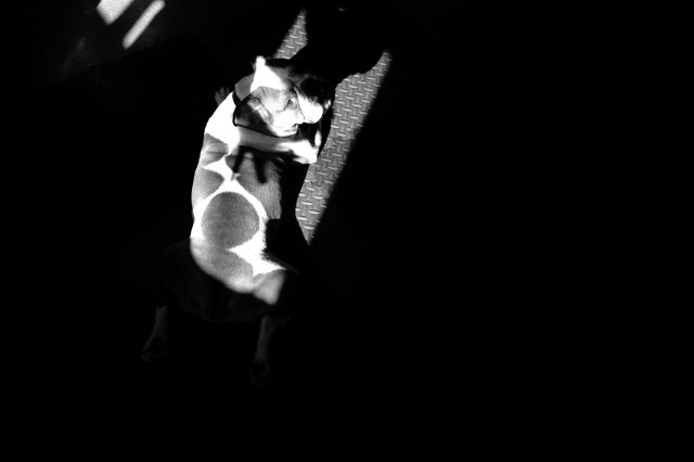 E015735E-9705-4F17-BD32-70BFA70158DB-1467-0000003B5759D07B