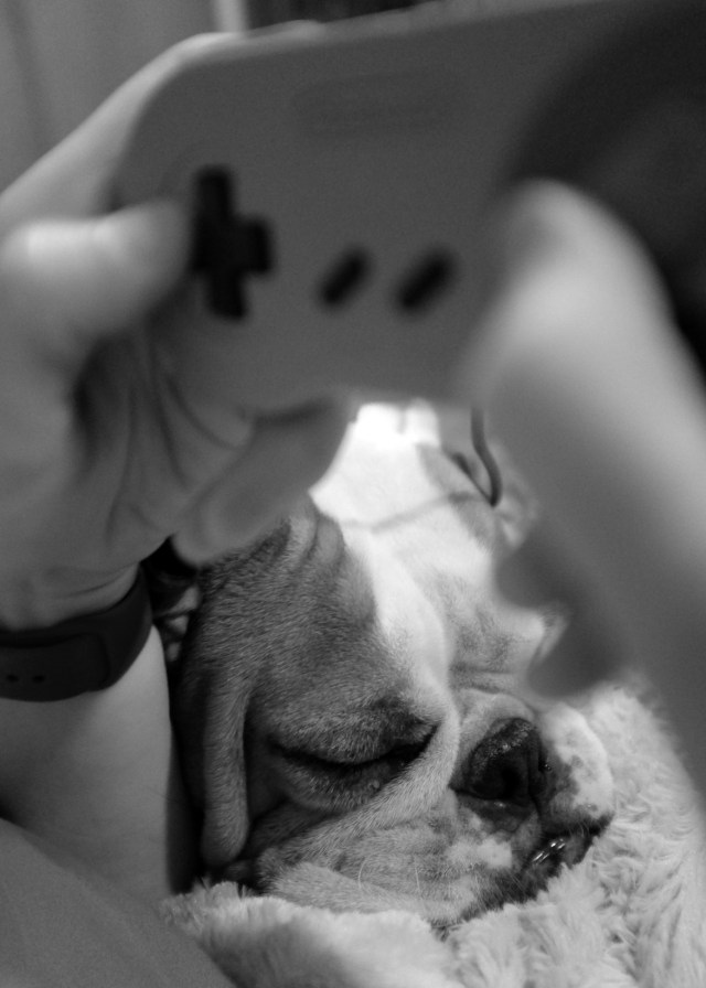 418DE867-949F-4F91-9A09-37B4E31EF8AD-54307-000009809723188B