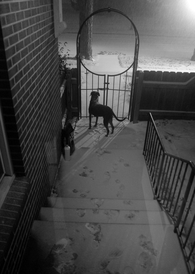 85CB1A5A-6967-4F98-B6BC-91843919E676-54307-000009808416ED4D