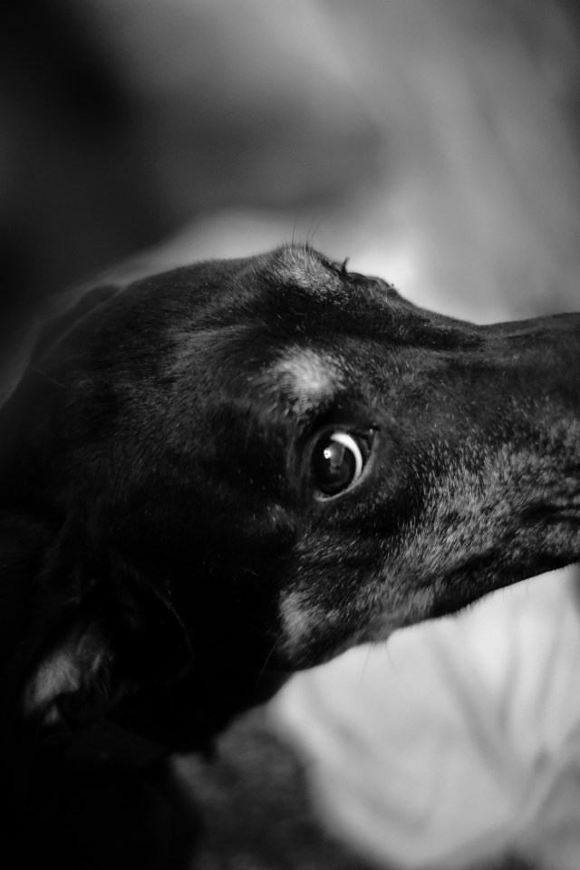 56D6B8C8-9842-46C5-9431-060BF1119F15-5966-00000102080E7466